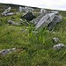 <b>Loch Glen Na Feannag</b>Posted by greywether