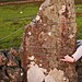 <b>Dervaig C</b>Posted by tumulus