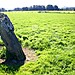 <b>The Great X of Kilmartin</b>Posted by tumulus