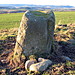 <b>Colen Wood Stone Circle</b>Posted by Ian Murray