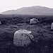 <b>Machrie Moor</b>Posted by jimmyd
