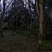 <b>Warton Crag</b>Posted by treehugger-uk