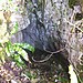 <b>Badger Hole</b>Posted by treehugger-uk