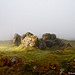 <b>Cairn W</b>Posted by CianMcLiam