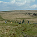 <b>Down Tor</b>Posted by Mr Hamhead