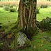 <b>Lochbuie Kerb Cairn</b>Posted by Kammer