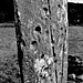 <b>The Great X of Kilmartin</b>Posted by Kammer
