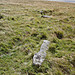 <b>Buttern Hill Stone Circle</b>Posted by Lubin