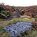 <b>Backstone Beck West</b>Posted by rockartwolf