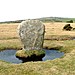 <b>Trippet Stones</b>Posted by phil