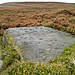 <b>Backstone Beck West</b>Posted by pebblesfromheaven