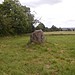 <b>Standing Stones of Urquhart</b>Posted by Chris