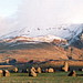 <b>Castlerigg</b>Posted by moey