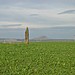 <b>Pencraig Hill Standing Stone</b>Posted by Martin