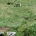 <b>Ringmoor Cairn Circle and Stone Row</b>Posted by Moth