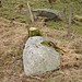 <b>Hill of Drimmie Stone Circle</b>Posted by BigSweetie