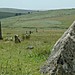 <b>Drizzlecombe Megalithic Complex</b>Posted by Moth