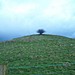 <b>Cross Gills Mound</b>Posted by treehugger-uk