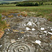 <b>Dod Law Hillfort rock art</b>Posted by Hob