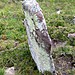 <b>Beinn Ghobhlach Standing Stone</b>Posted by Kozmik_Ken