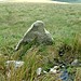 <b>Louden Stone Circle</b>Posted by Mr Hamhead