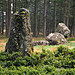 <b>Nine Stanes</b>Posted by rockartwolf