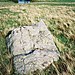 <b>Arrow Stone I Near Ffridd Newydd</b>Posted by Idwal