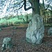 <b>The Nine Stones of Winterbourne Abbas</b>Posted by Jane