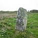 <b>Boslow Stone</b>Posted by Meic