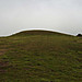 <b>Tulk's Hill</b>Posted by formicaant