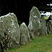 <b>Cromlech de Kerbourgnec</b>Posted by Jane