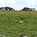 <b>Colvannick Tor Stone Row</b>Posted by Mr Hamhead