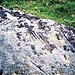 <b>Arrow Stone II Near Ffridd Newydd</b>Posted by Idwal