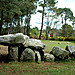 <b>Dolmens de Mane Kerioned</b>Posted by Jane