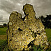 <b>The Rollright Stones</b>Posted by Hob