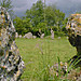 <b>The Rollright Stones</b>Posted by greenman
