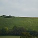 <b>Cerne Abbas Giant</b>Posted by Cursuswalker