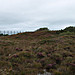 <b>Goonhilly Down</b>Posted by formicaant