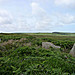 <b>Porthmeor (Treen Common)</b>Posted by thesweetcheat