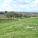 <b>Castle Hill (Broad Blunsdon)</b>Posted by ginger tt