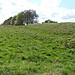 <b>Old Ditch Longbarrow</b>Posted by jimit