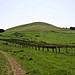 <b>Fawdon Hill</b>Posted by LauraC