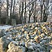 <b>Clava Cairns</b>Posted by drewbhoy