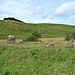 <b>Girdle Stanes & Loupin Stanes</b>Posted by Chris