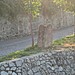 <b>Briaglia's menhirs, souterrain, remains</b>Posted by Ligurian Tommy Leggy