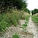 <b>Dorset Cursus (North to Martins Down)</b>Posted by UncleRob
