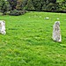 <b>The Timoney Stones</b>Posted by TheStandingStone
