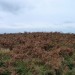 <b>Carn Bean barrow</b>Posted by thesweetcheat