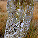 <b>Doddington Stone Circle</b>Posted by border-glider