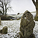 <b>The Nine Stones of Winterbourne Abbas</b>Posted by A R Cane